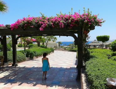 vacanze a Sharm El Sheik con i bambini